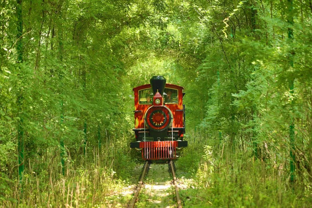 安徽秋浦富硒茶是真的（安徽富硒茶多少钱一斤）-硒宝网