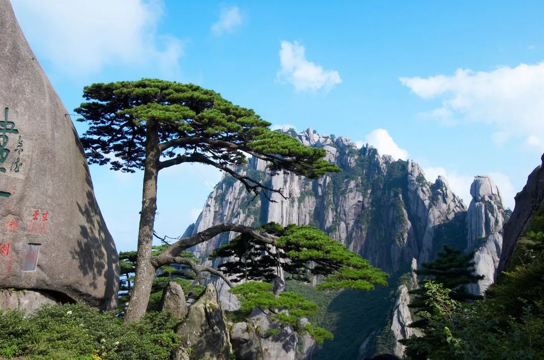 安徽秋浦富硒茶是真的（安徽富硒茶多少钱一斤）-硒宝网