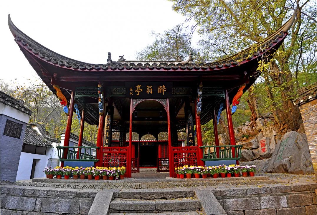 安徽秋浦富硒茶是真的（安徽富硒茶多少钱一斤）-硒宝网