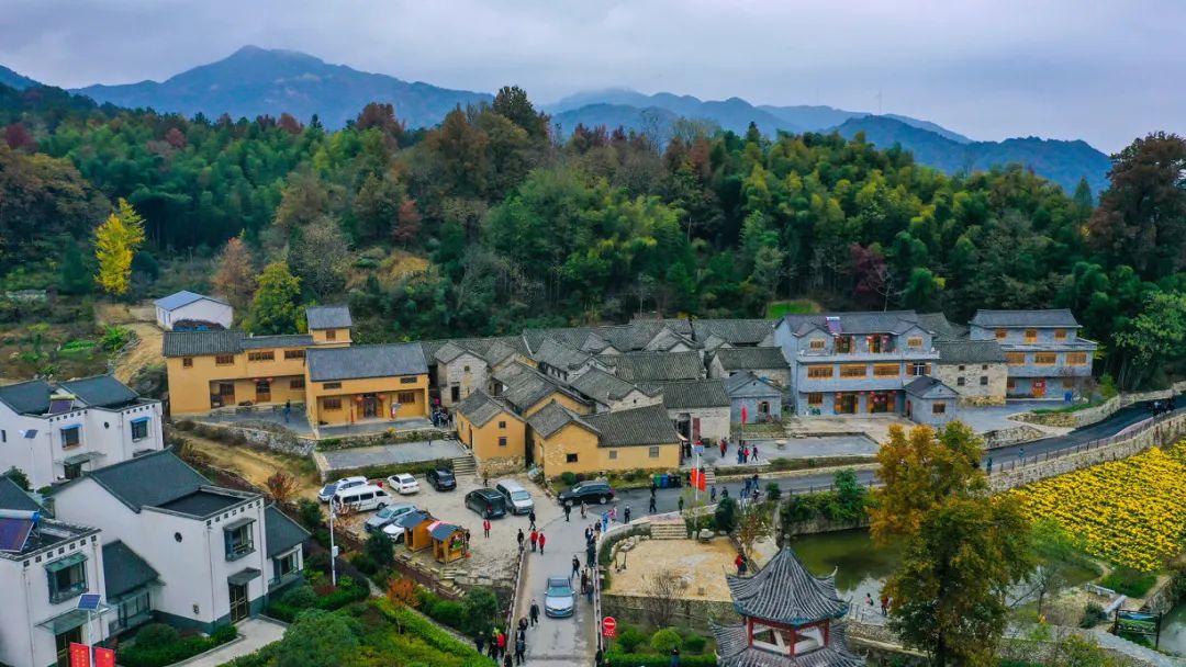 安徽秋浦富硒茶是真的（安徽富硒茶多少钱一斤）-硒宝网