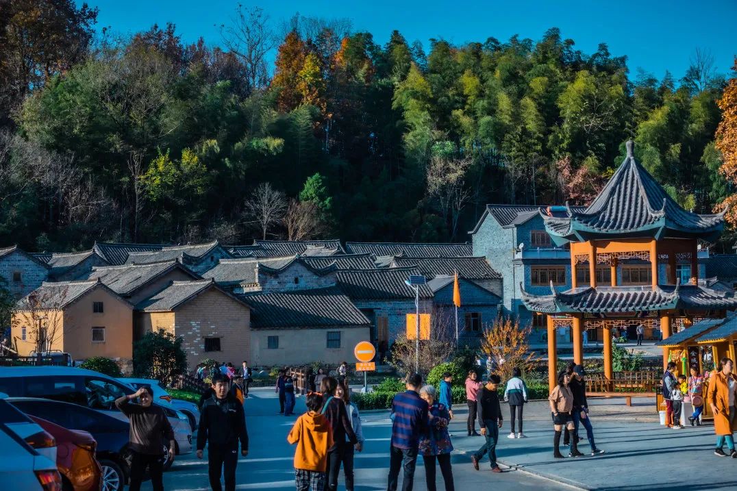 安徽秋浦富硒茶是真的（安徽富硒茶多少钱一斤）-硒宝网