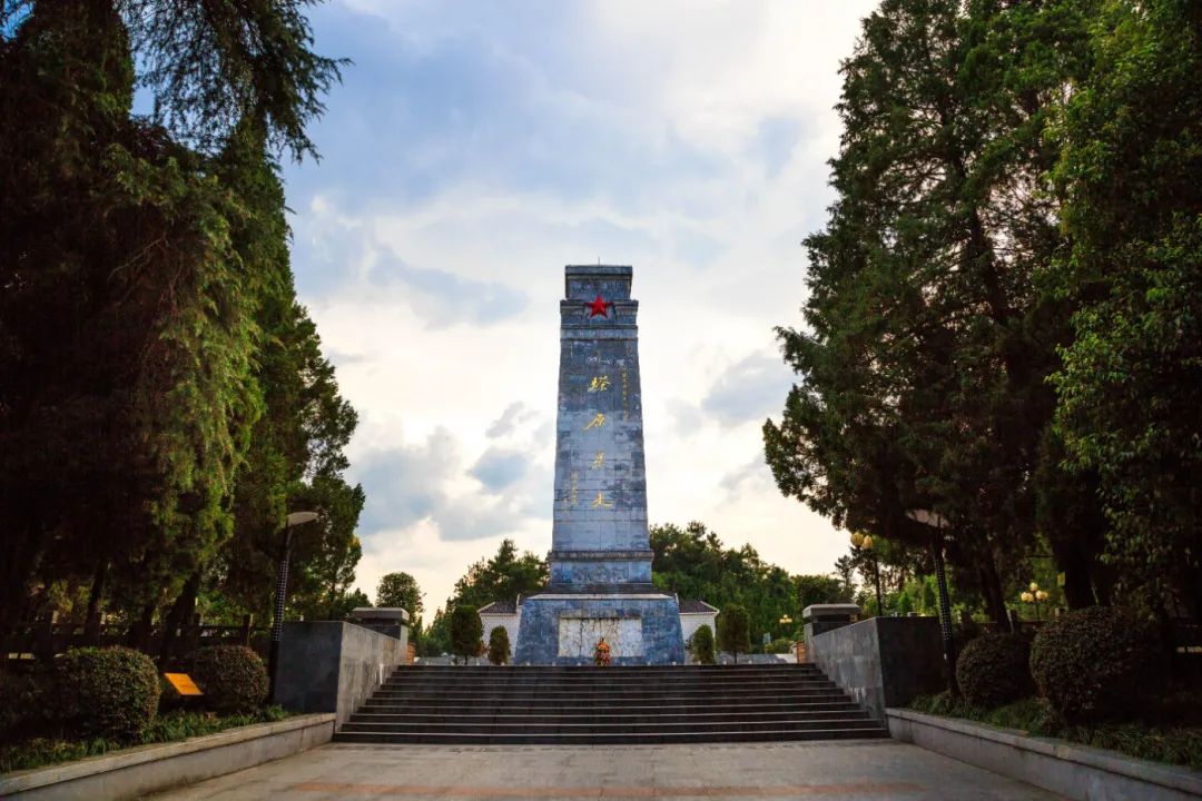 安徽秋浦富硒茶是真的（安徽富硒茶多少钱一斤）-硒宝网