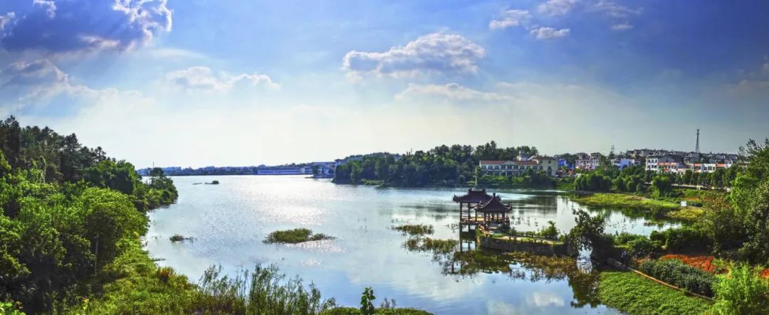 安徽秋浦富硒茶是真的（安徽富硒茶多少钱一斤）-硒宝网