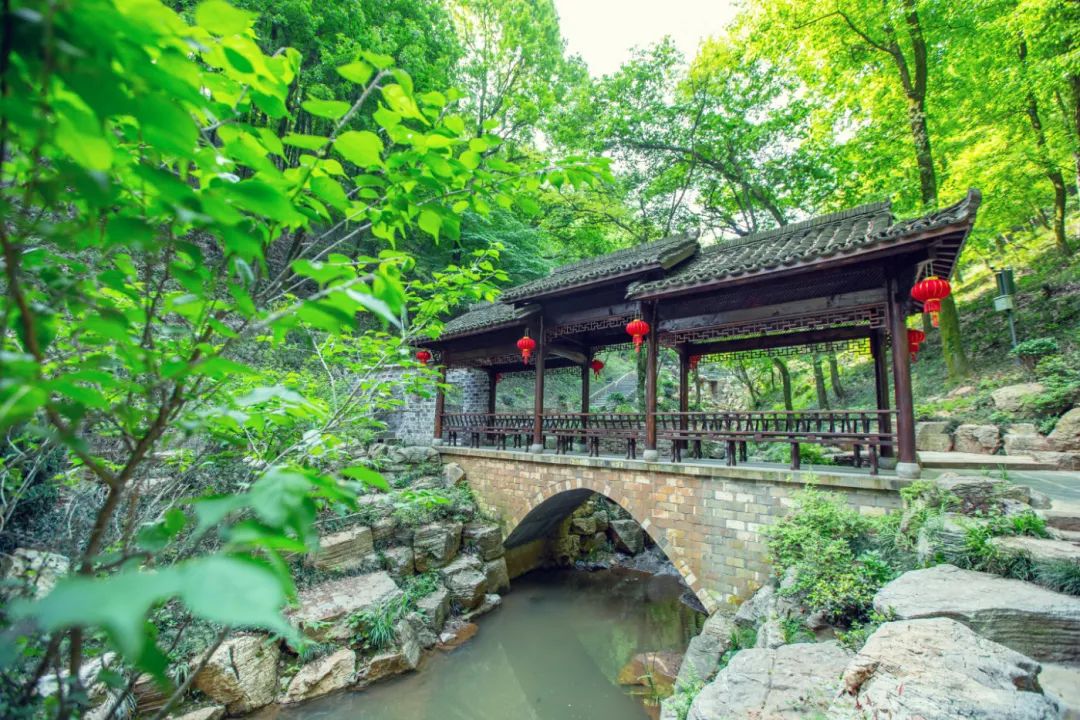 安徽秋浦富硒茶是真的（安徽富硒茶多少钱一斤）-硒宝网