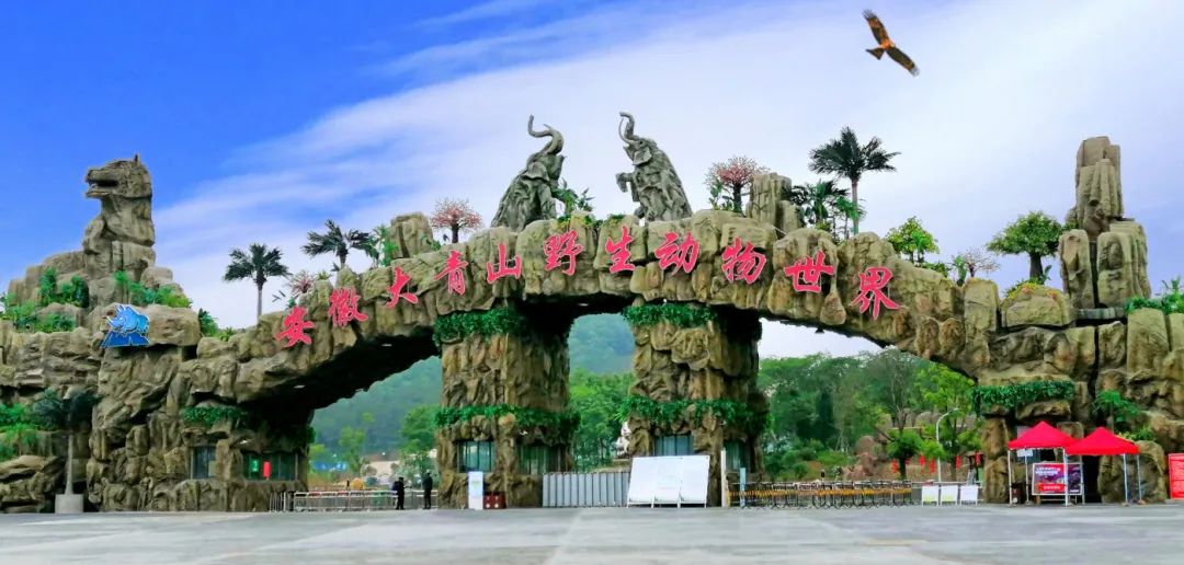 安徽秋浦富硒茶是真的（安徽富硒茶多少钱一斤）-硒宝网