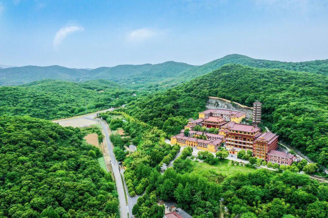 安徽秋浦富硒茶是真的（安徽富硒茶多少钱一斤）-硒宝网