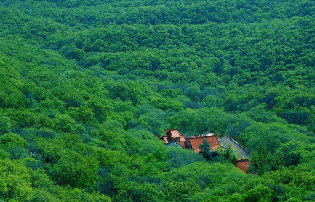 安徽秋浦富硒茶是真的（安徽富硒茶多少钱一斤）-硒宝网