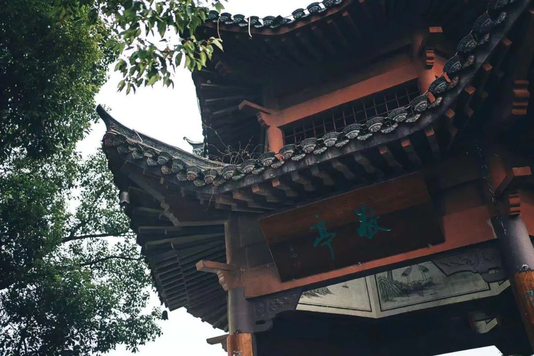 安徽秋浦富硒茶是真的（安徽富硒茶多少钱一斤）-硒宝网