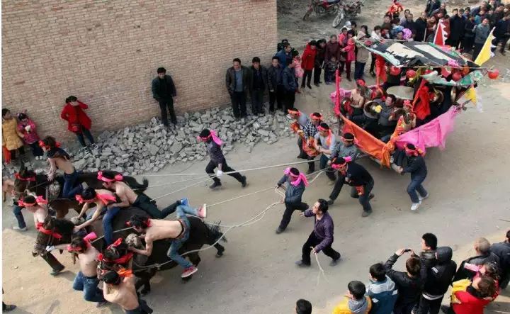 紫阳富硒茶是泡还是煮(紫阳富硒茶好处)-硒宝网