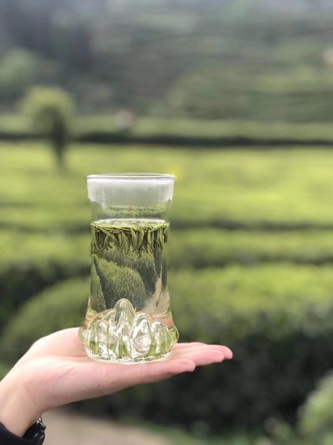 紫阳富硒茶可以降血脂(降茶血脂紫阳富硒可以吃吗)-硒宝网