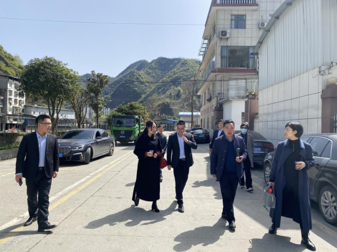 安康富硒茶产业链分析(安康链茶产业富硒分析报告)-硒宝网