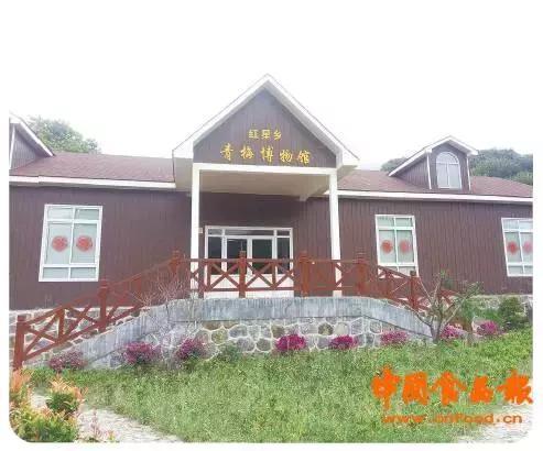 福建诏安县富硒桑叶茶(福建诏安富硒产品)-硒宝网