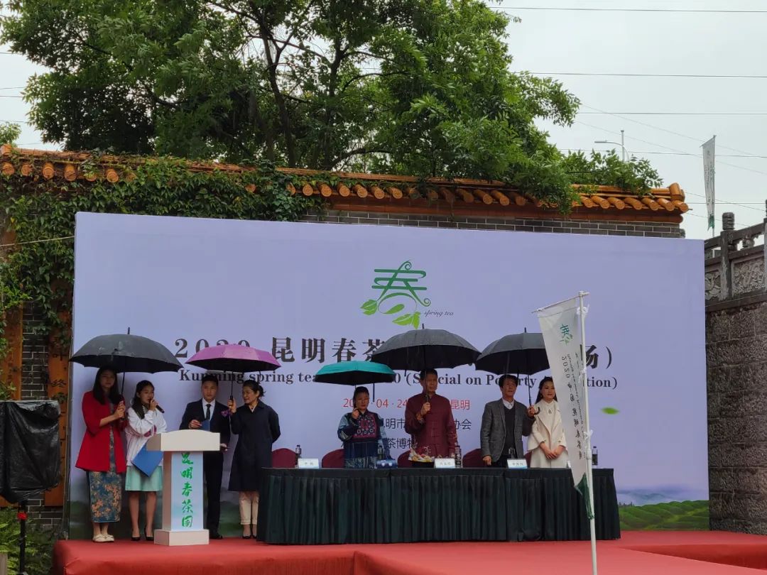 云南富硒普洱茶多少钱(普洱富硒茶的价格)-硒宝网