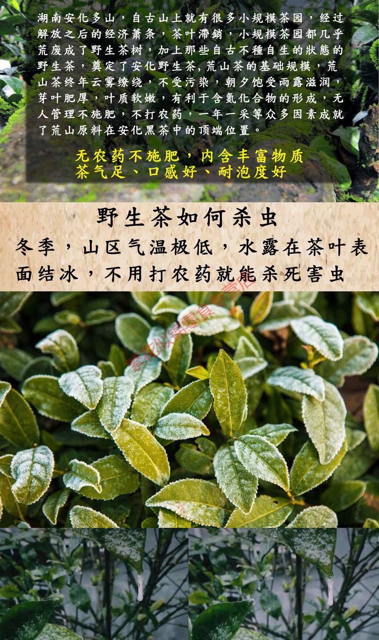 湖南安化黑茶含富硒吗（湖南安化黑茶含有什么物质）-硒宝网