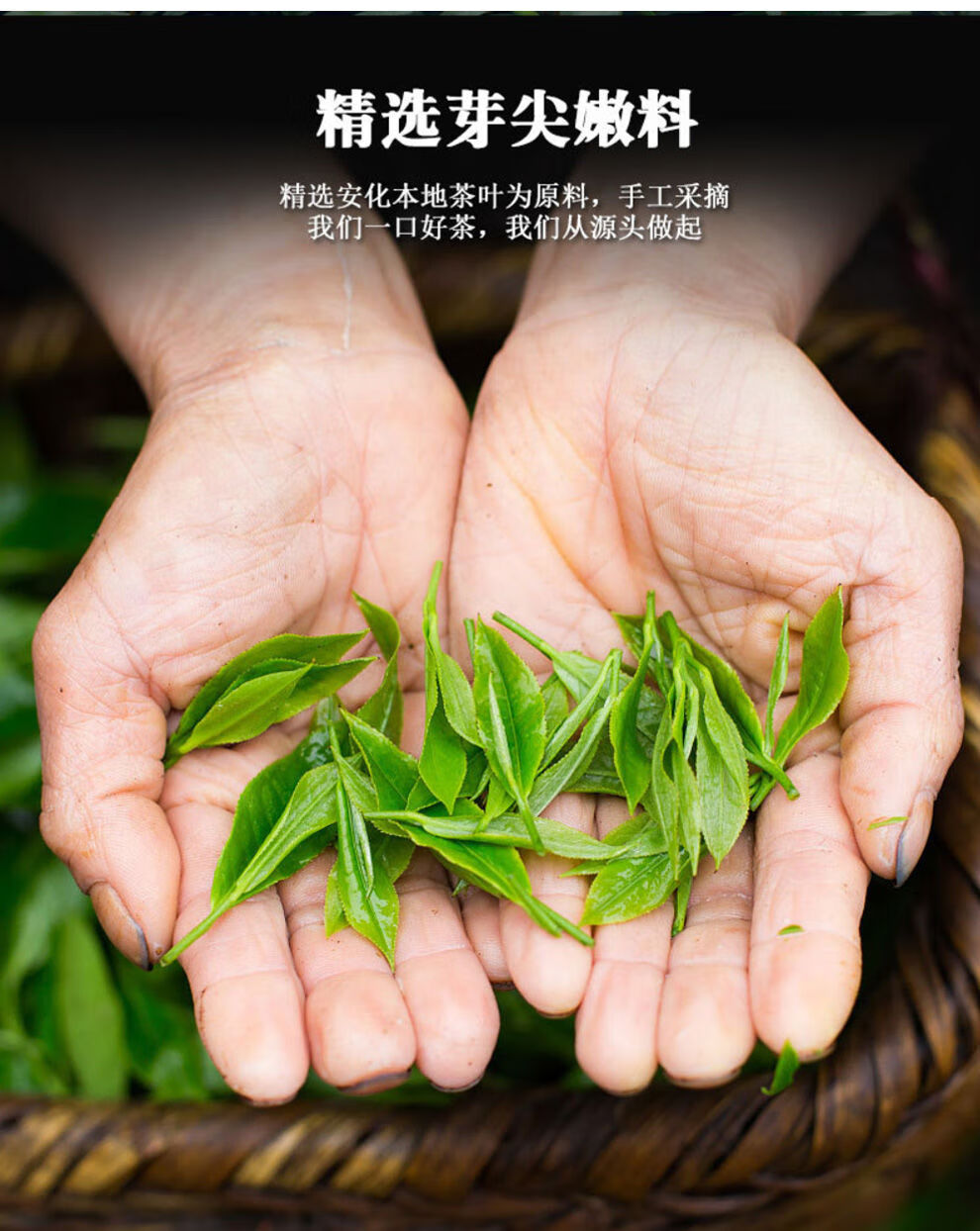 湖南安化黑茶含富硒吗（湖南安化黑茶含有什么物质）-硒宝网