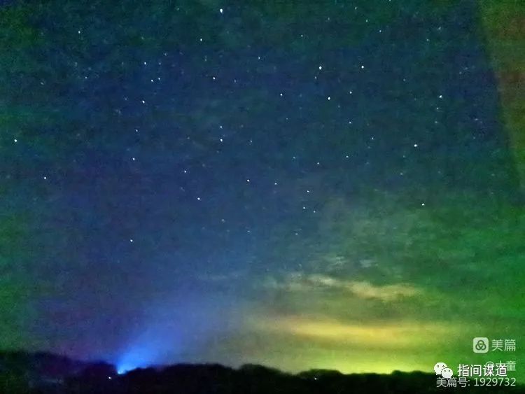富硒藤茶有胃病能喝吗(富硒腾茶降血糖吗)-硒宝网