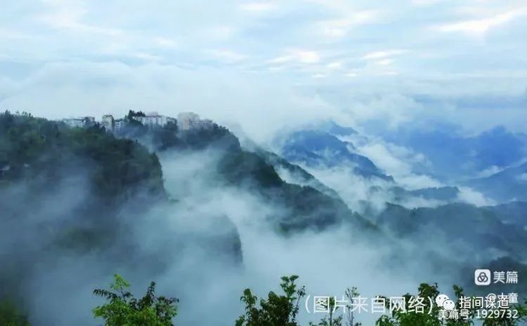 富硒藤茶有胃病能喝吗(富硒腾茶降血糖吗)-硒宝网