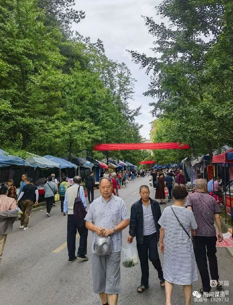 富硒藤茶有胃病能喝吗(富硒腾茶降血糖吗)-硒宝网