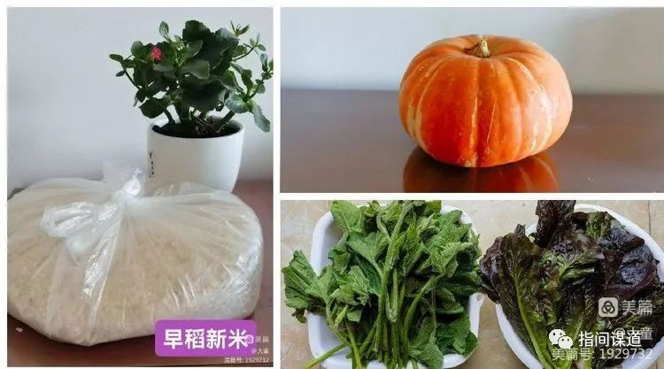 富硒藤茶有胃病能喝吗(富硒腾茶降血糖吗)-硒宝网