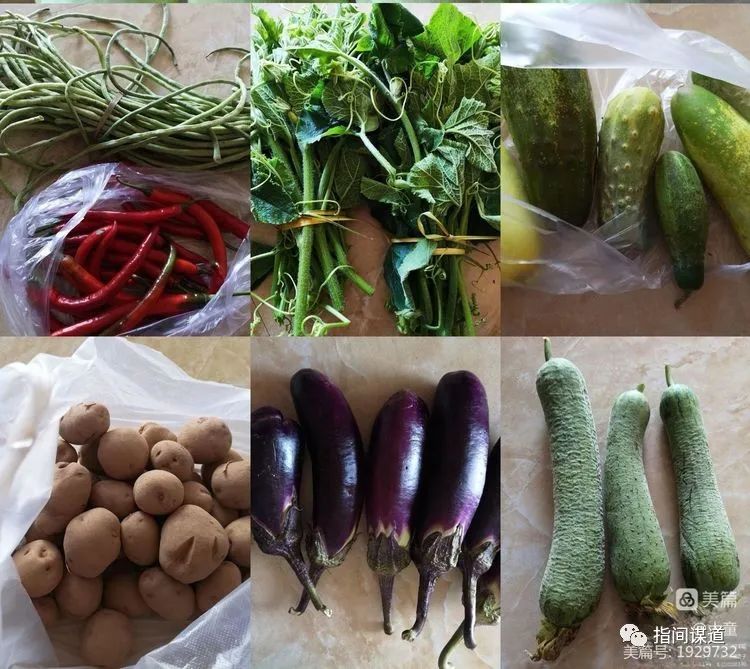 富硒藤茶有胃病能喝吗(富硒腾茶降血糖吗)-硒宝网