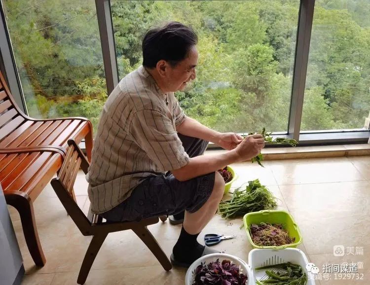 富硒藤茶有胃病能喝吗(富硒腾茶降血糖吗)-硒宝网