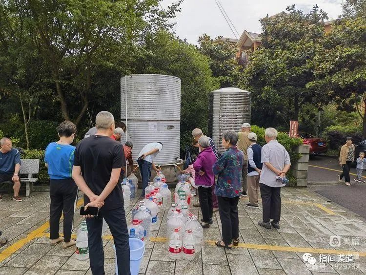 富硒藤茶有胃病能喝吗(富硒腾茶降血糖吗)-硒宝网