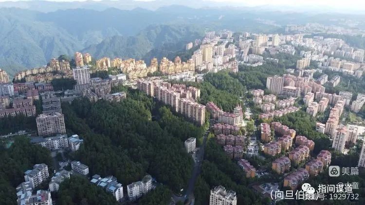 富硒藤茶有胃病能喝吗(富硒腾茶降血糖吗)-硒宝网