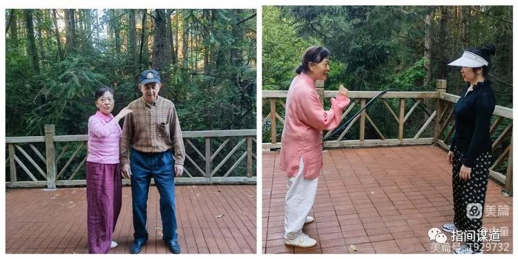 富硒藤茶有胃病能喝吗(富硒腾茶降血糖吗)-硒宝网