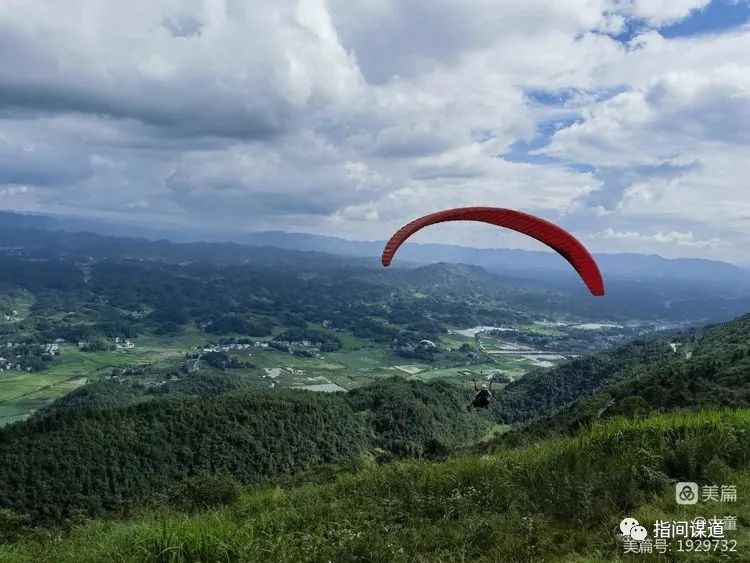富硒藤茶有胃病能喝吗(富硒腾茶降血糖吗)-硒宝网
