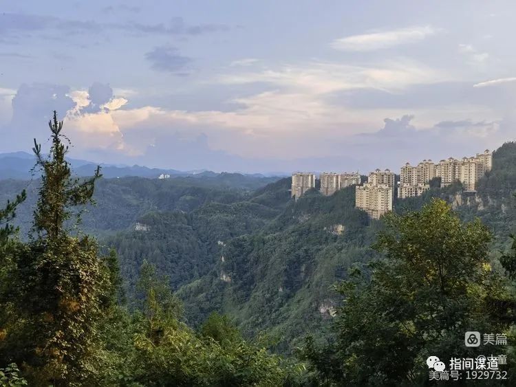 富硒藤茶有胃病能喝吗(富硒腾茶降血糖吗)-硒宝网