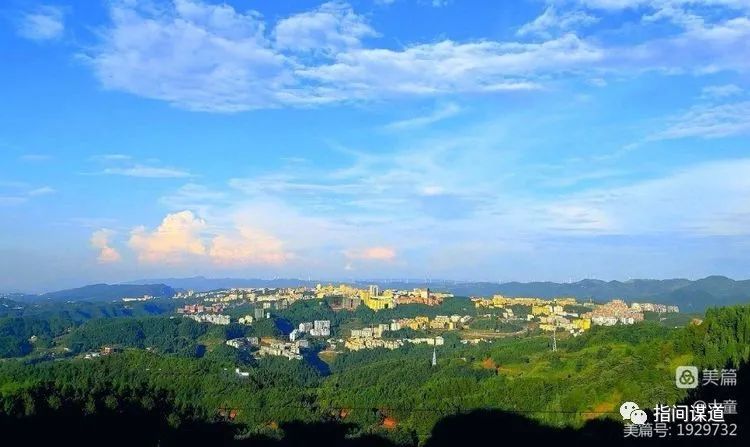 富硒藤茶有胃病能喝吗(富硒腾茶降血糖吗)-硒宝网