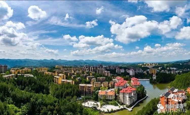 富硒藤茶有胃病能喝吗(富硒腾茶降血糖吗)-硒宝网