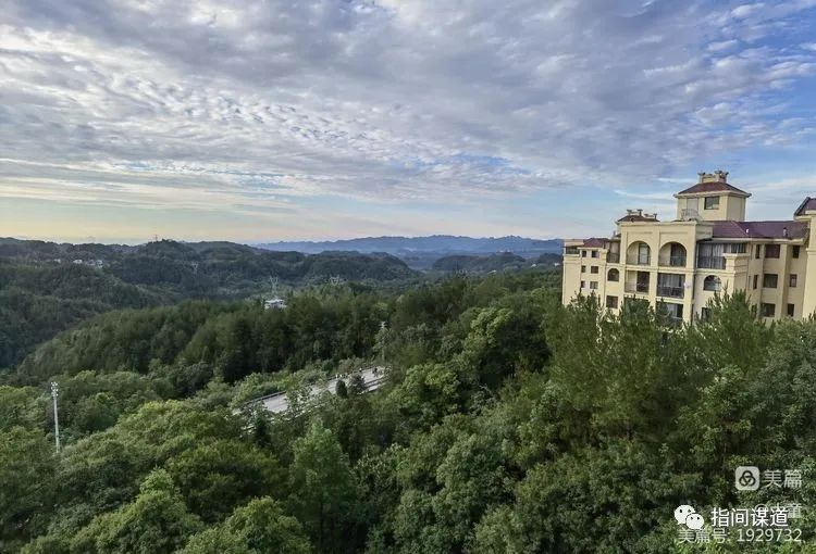 富硒藤茶有胃病能喝吗(富硒腾茶降血糖吗)-硒宝网