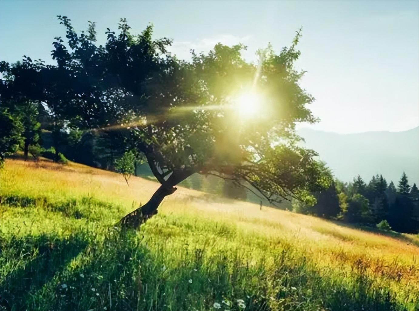 吃钙片能补钙吗(补钙吃钙片什么时间吃最好)-硒宝网