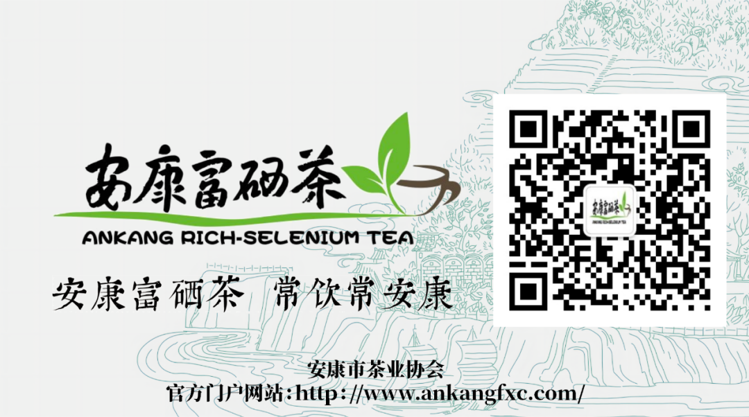 第四届安康富硒茶大赛（安康富硒茶多少钱一斤汗水晨雾）-硒宝网