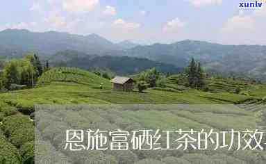 糖尿病喝富硒藤茶好吗（富硒藤茶治糖尿病吗）-硒宝网