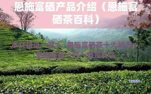 糖尿病喝富硒藤茶好吗（富硒藤茶治糖尿病吗）-硒宝网