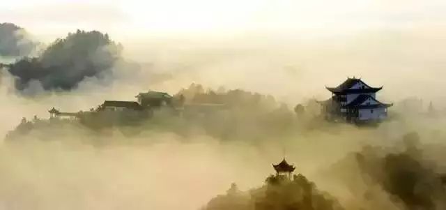 富硒荞子茶哪里产的好(茶产荞子富硒好吗)-硒宝网