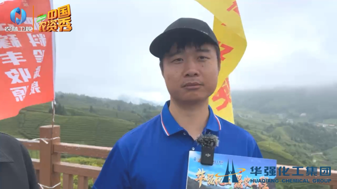 恩施富硒茶的市场价格(恩施富硒茶市场定位分析)-硒宝网