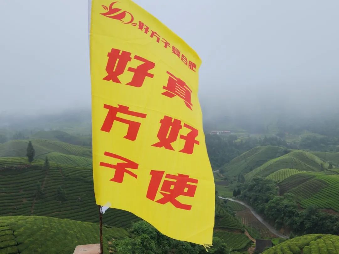 恩施富硒茶的市场价格(恩施富硒茶市场定位分析)-硒宝网