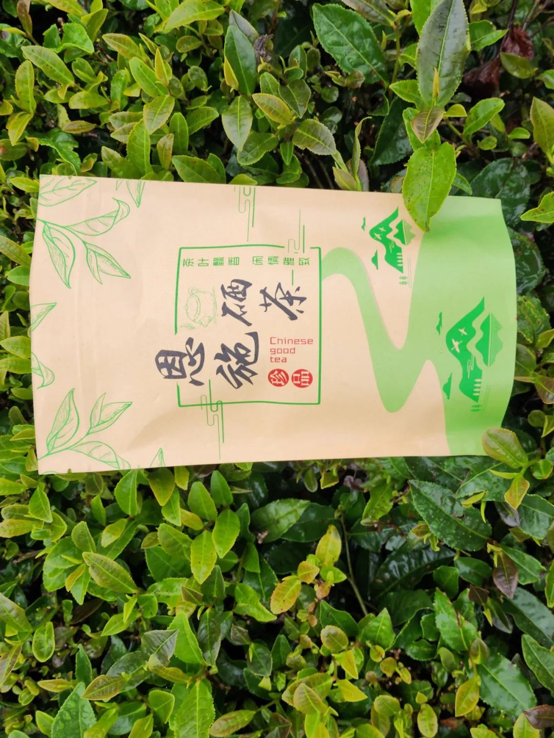 恩施富硒茶的市场价格(恩施富硒茶市场定位分析)-硒宝网