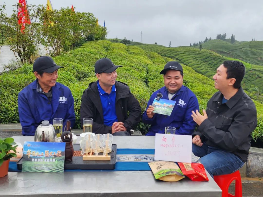 恩施富硒茶的市场价格(恩施富硒茶市场定位分析)-硒宝网