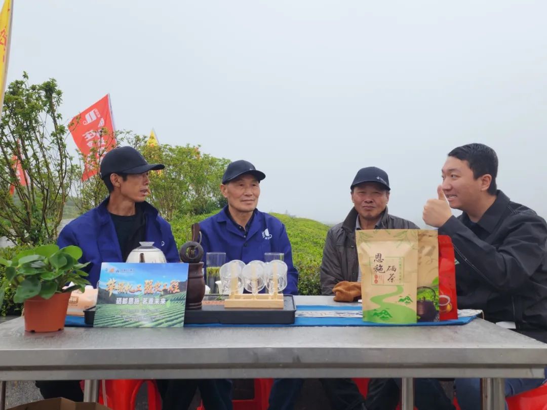 恩施富硒茶的市场价格(恩施富硒茶市场定位分析)-硒宝网