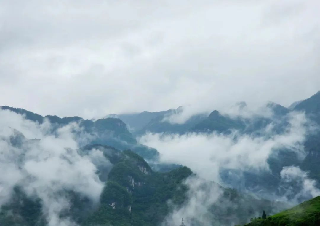 恩施富硒茶的市场价格(恩施富硒茶市场定位分析)-硒宝网