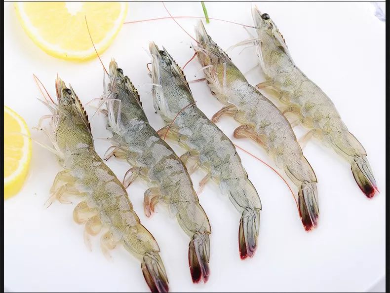 基围虾补钙吗(基围虾补钙多还是河虾)-硒宝网