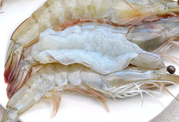 基围虾补钙吗(基围虾补钙多还是河虾)-硒宝网