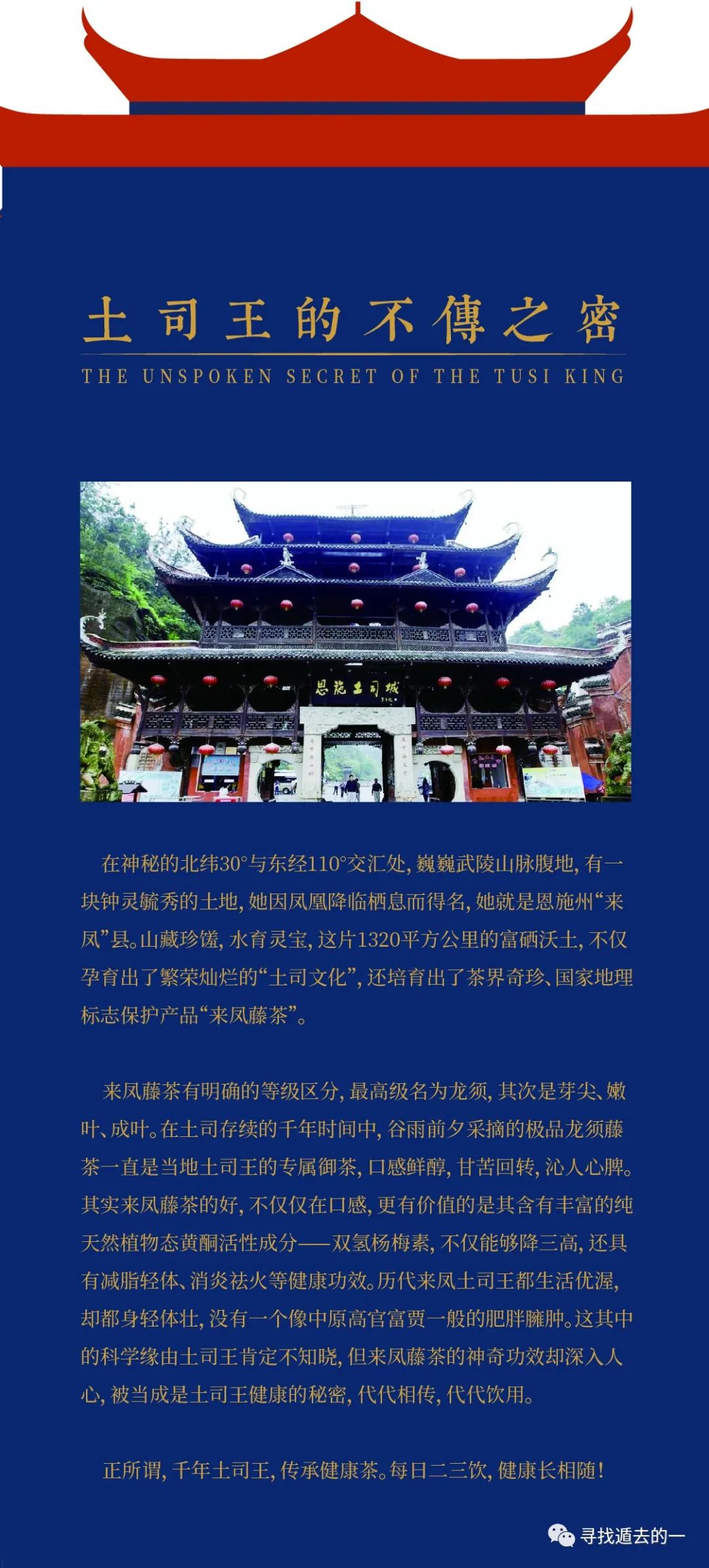 富硒藤茶排毒作用功效(富硒藤茶的作用)-硒宝网