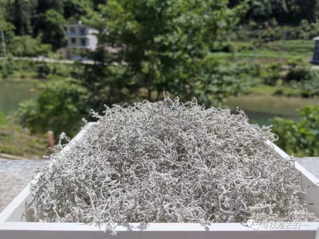 富硒藤茶排毒作用功效(富硒藤茶的作用)-硒宝网