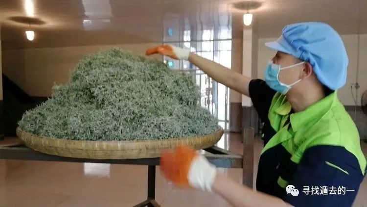 富硒藤茶排毒作用功效(富硒藤茶的作用)-硒宝网