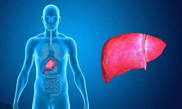 一杯紫阳富硒茶的热量（紫阳富硒茶能减肥吗）-硒宝网